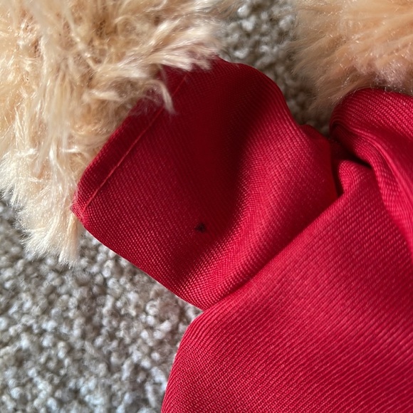 EUC BERENSTAIN Bears Plush Brother Bear NEW DVD Movie Set 50th Anniversary - Picture 4 of 6